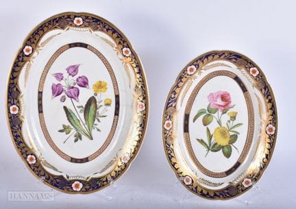 TWO EARLY 19TH CENTURY SPODE PORCELAIN BOTANICAL P