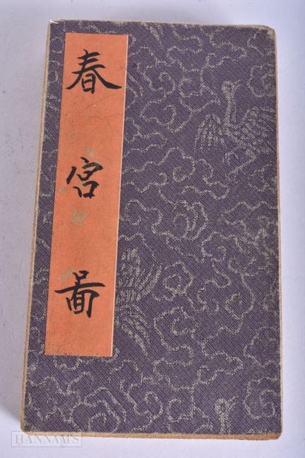 EIN CHINESISCHES EROTIKBUCH. Jede Seite 18 cm x 20