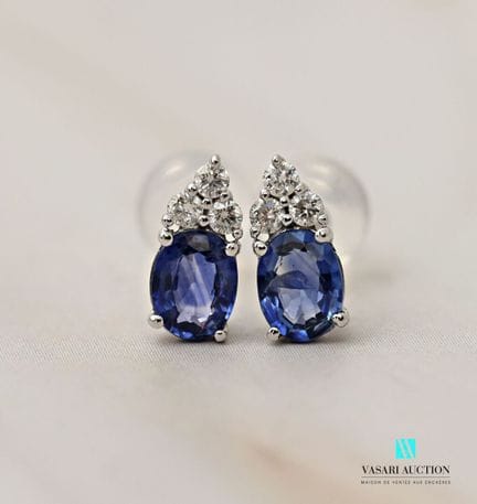 Paire de boutons d'oreilles en platine ornée de de