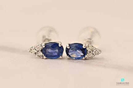Paire de boutons d'oreilles en platine 850 millièm
