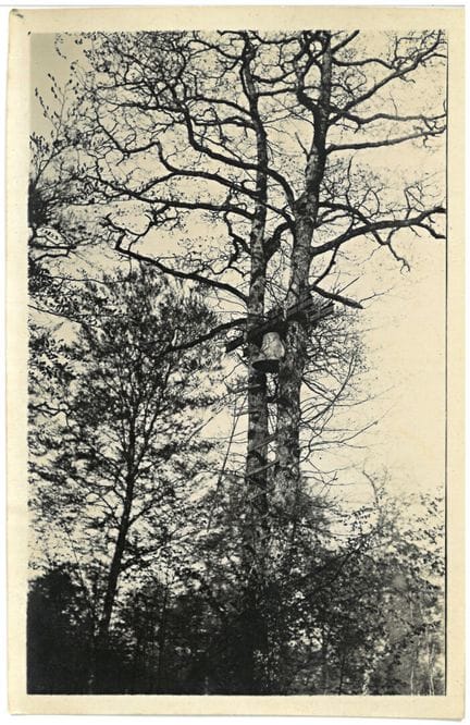 Militaria: WWI/World War I 1914–1918 Photograph Po