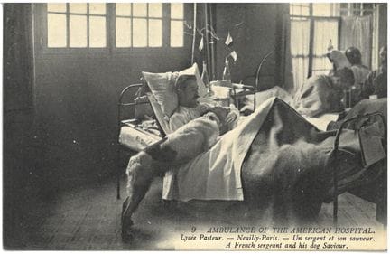 Militaria: WWI/World War I 1914–1918 - Rescue Dog 