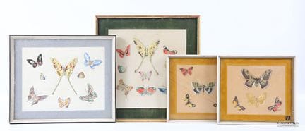 KIPS (XXème siècle)
Quatre études de papillons 
Aq