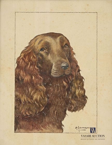 GOUVERNEUR Arthur (1852-?)
Tête de cocker
Aquarell