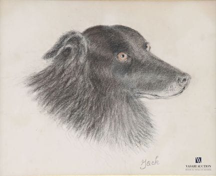 ANONYME 
Étude de tête de chien "Jack"
Fusain sur 