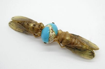 Broche en corne représentant deux cigales encadran