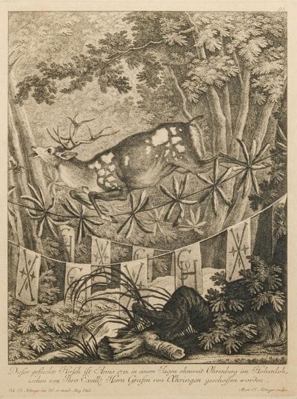 JOHANN ELIAS RIDINGER (Allemagne, 1698-1767)

« Lo