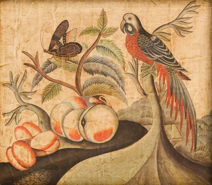 Set of two prints featuring a kite and fruit.