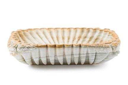 Antikes Taufbecken in Form einer Venusmuschel aus 