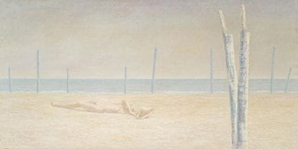 MARIANO VILLEGAS GARCIA (Madrid, 1949)

"Female Nu