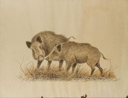 SPANISH SCHOOL 20th Century

"Wild boars".
Pair of