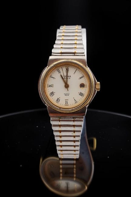 YEMA
Men's watch in brushed and gold-plated steel,