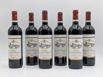 6 B Château CHASSE-SPLEEN MOULIS EN MÉDOC 2005