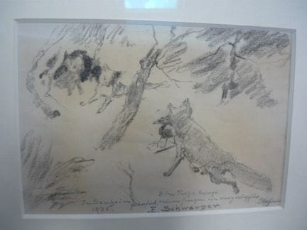 E. Schwarzer. “Fox Bringing Prey to Her Cub.” Penc