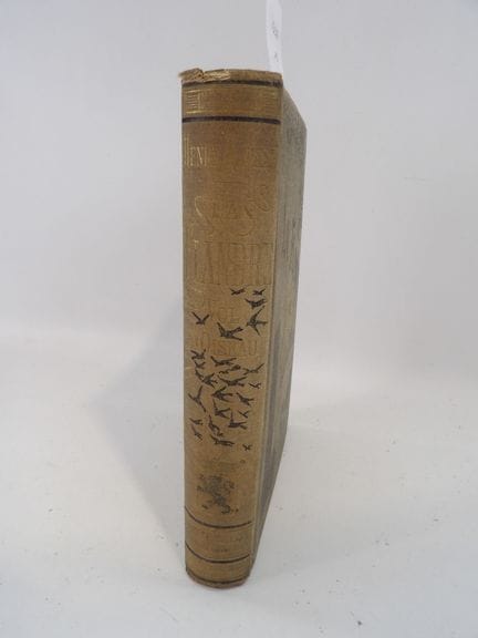 HENRY HAVARD, *Flanders: A Bird's-Eye View*, illus