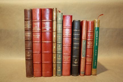 Various volumes, including:
- *Voleurs de gloire* 
