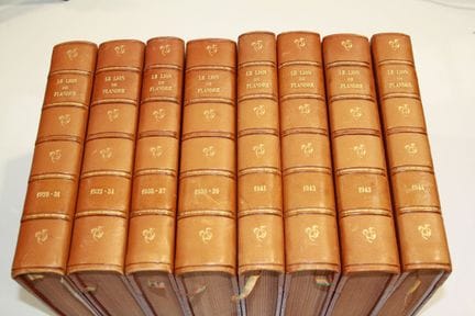 Set of 8 volumes of "The Lion of Flanders" from 19