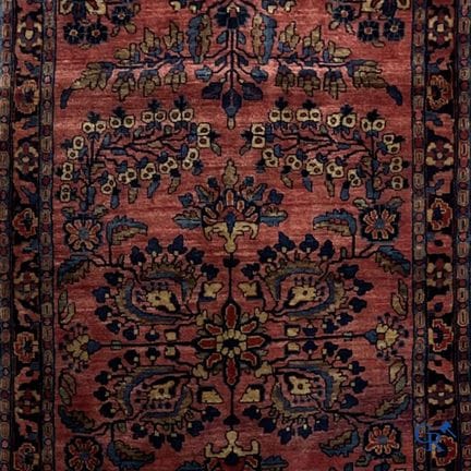 Tappeto orientale. Sarouk. Tappeto persiano annoda