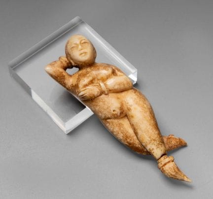 Une rare tabatière sculptée dans un matériau organ