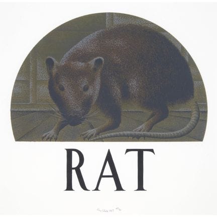 大卫·亚历山大（亚历克斯）·科尔维尔（1920-2013），RAT，1983年，12 x 12英寸 