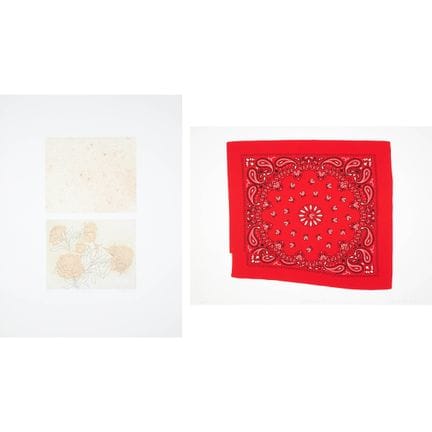 AA Bronson, OC, RCA (b. 1946); Suzy Lake, RCA (b. 