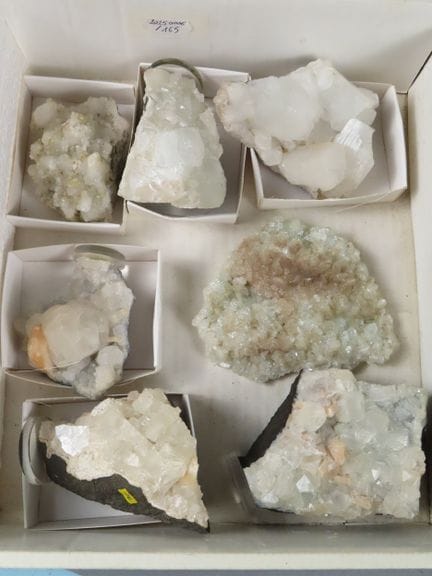Inde. Réunion de sept spécimens d'apophyllite avec