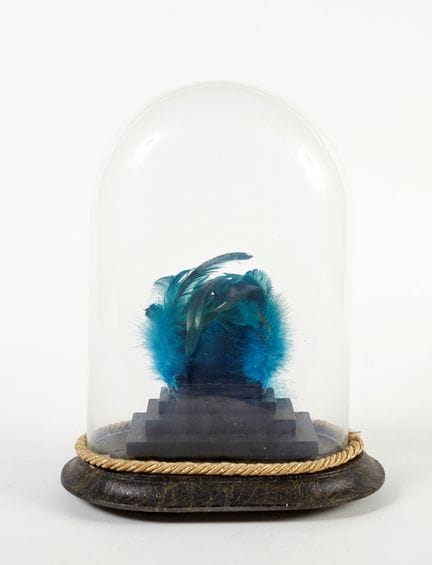 Glass dome with turquoise feathers   32x24x16 cm 
