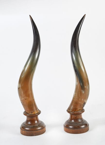 Pair of horns    57 x 12 cm
Pair of decorative hor