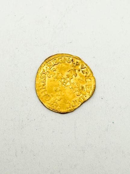 Charles IX
Demi écu d'or 1569B (Rouen) 
Monnaie tr
