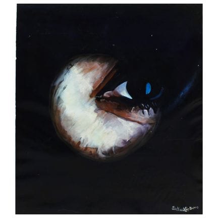 Carlo Alberto Perillo, 70x60 cm. "Truth in Light,"