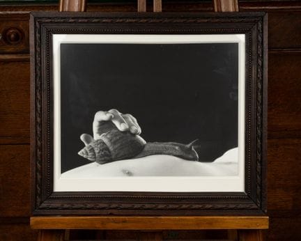 Bianca SFORNI (born 1963)
Untitled from Pandora's 