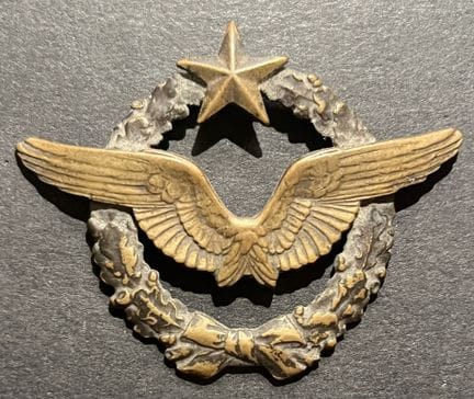 France Aviation. Brevet de pilote metallique model