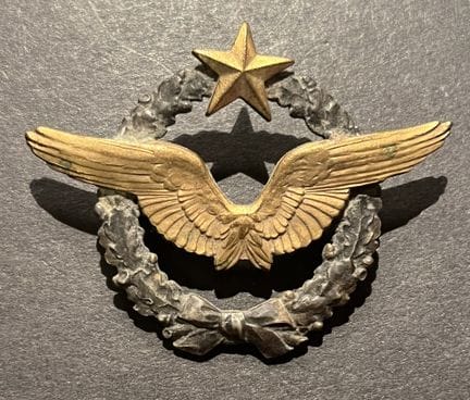 France Aviation. Brevet de pilote metallique model