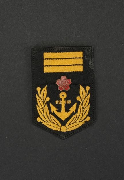 Distintivo di grado da manica dei servizi sanitari
