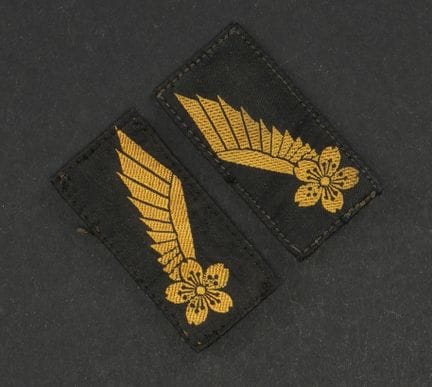 Distintivi da colletto per cadetti dell’aeronautic