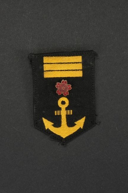 Distintivo di grado da manica dei servizi sanitari