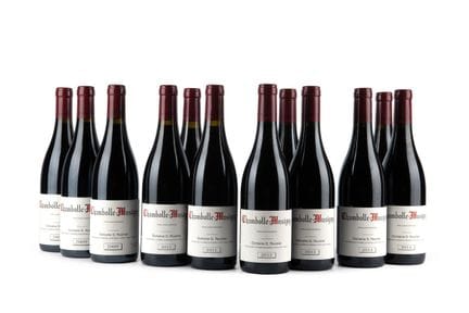 Lote mixto - G. Roumier
2009 G. Roumier, Chambolle