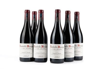 Lote mixto - G. Roumier
2020 G. Roumier, Chambolle