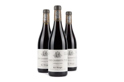2021 K. Shiogai, Gevrey Chambertin, Cherbaudes, 3 