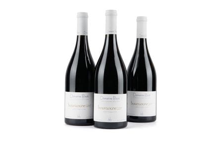 2017 Domaine Bizot, Bourgogne Rouge, 3 botellas
Es