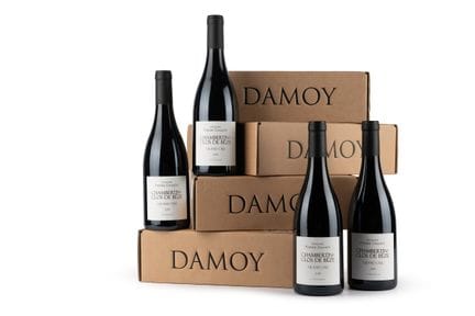 Mixed lot - P. Damoy
2018 P. Damoy, Chambertin, Cl