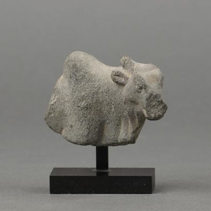 GANDHARA. Fragment de vache sacrée. Schiste gris. 