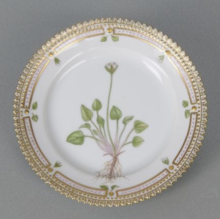 Royal Copenhagen, Flora Danica Plate, First Choice