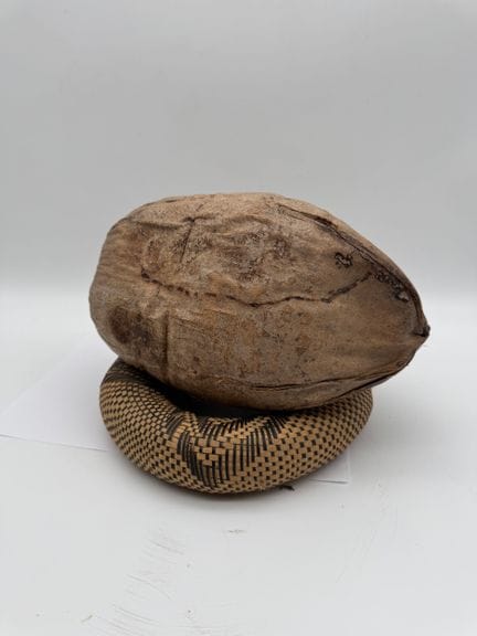 NOIX DE COCO SUR COUSSIN DE PORTAGE - Afrique ou O