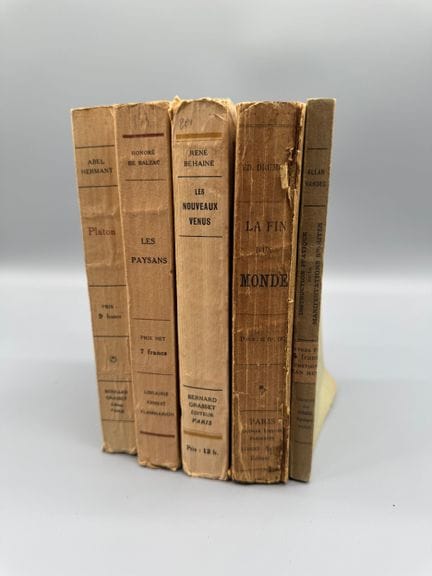 Raccolta di cinque opere - Letteratura, saggi e sp