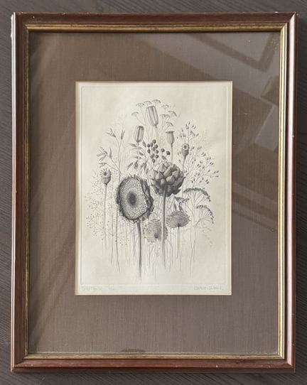 《干花》——凯瑟琳·卡迪克（1937）
蚀刻版画，编号 31/150。
艺术家亲笔签名
带框尺寸：4