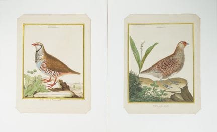François-Nicolas MARTINET (1731-1800), da
Serie di