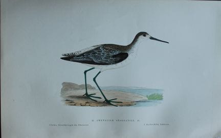 Jean Chenu - Lithographie représentant le chevalie