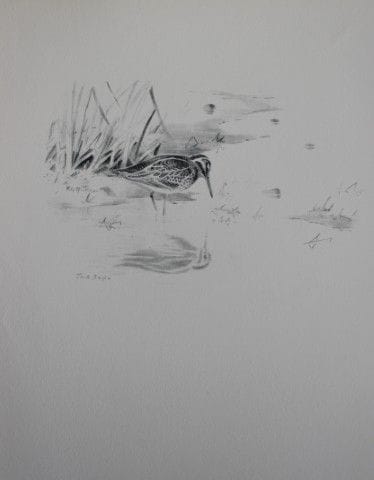 Philip Rickman - Print of pencil drawings of Jack 