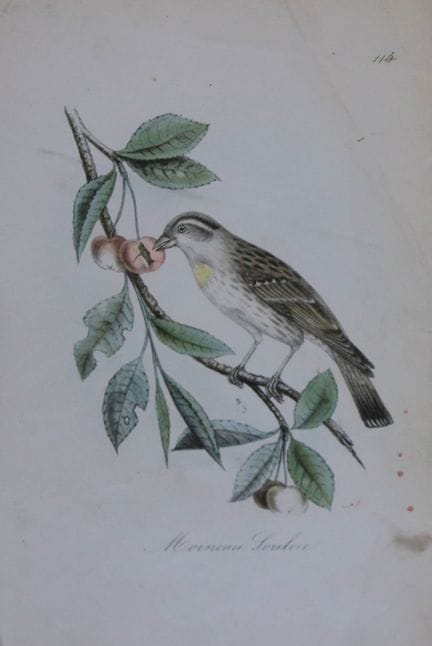 Charles Dubois - Lithographie rare représentant le